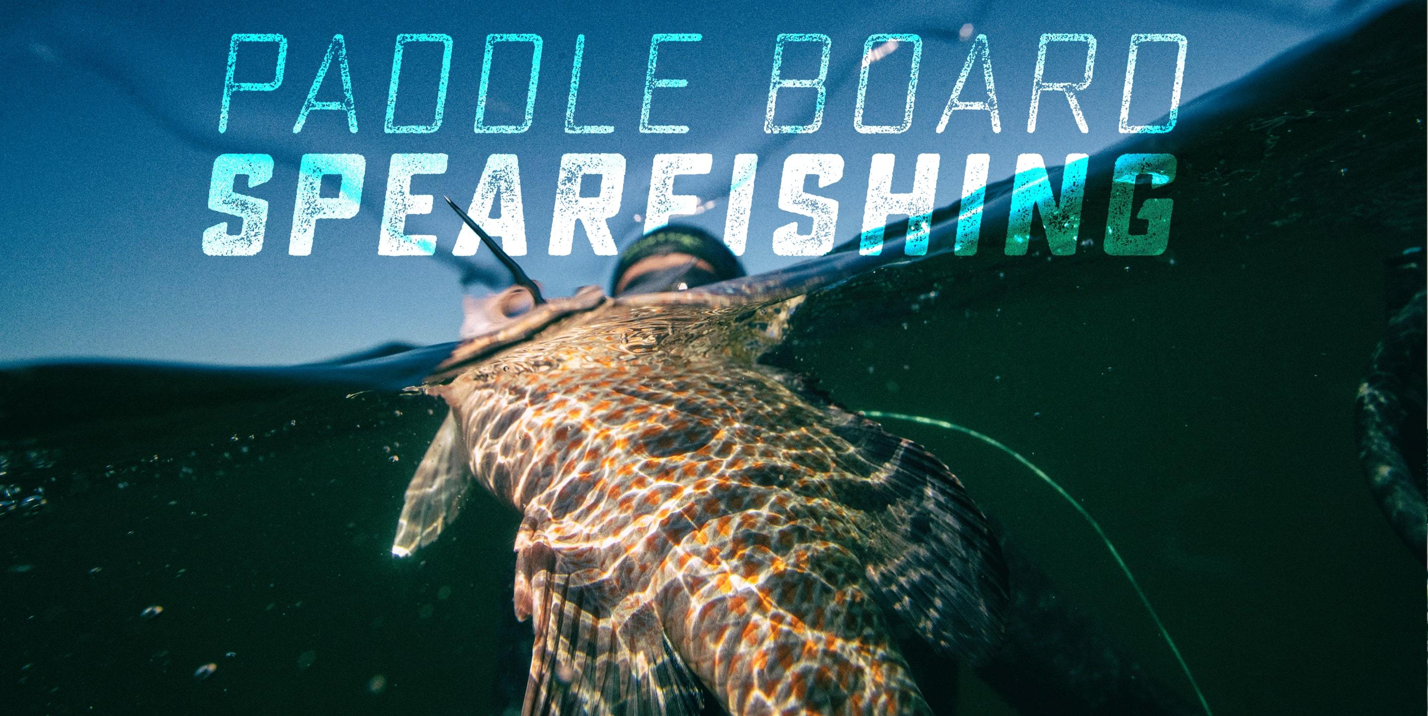 Spearfishing On A Paddle Board