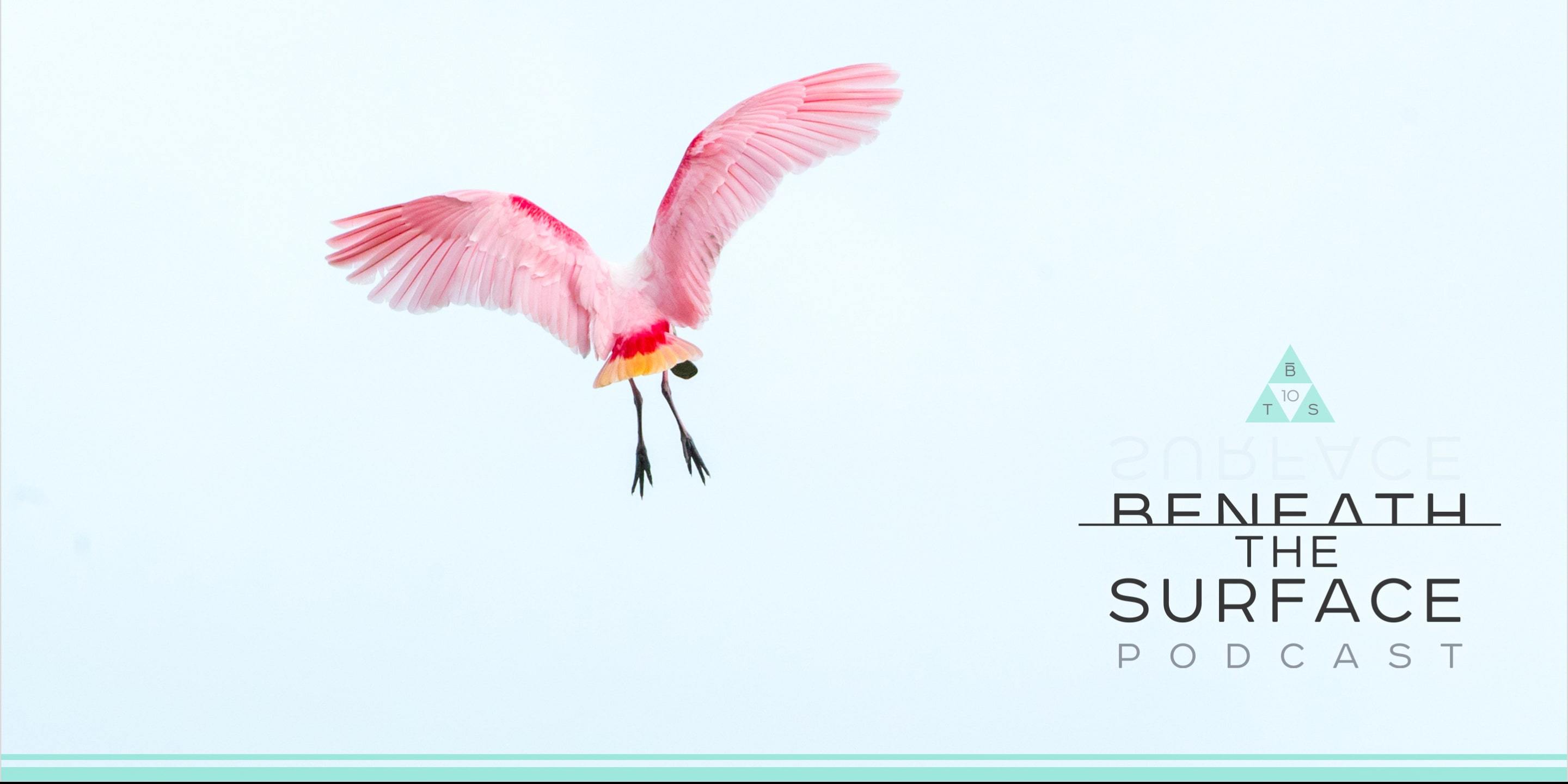 Beneath the Surface Podcast: BOTE House Belize
