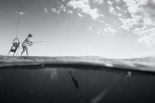 Why You Need to Try Paddle Board Fishing
