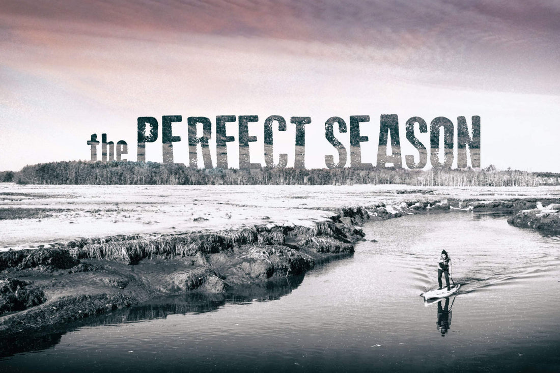 BOTE Presents // The Perfect Season